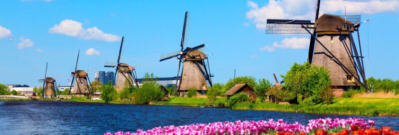 Uitzicht op Nederlandse windmolens, een herkenbaar symbool van Nederland en een ideale locatie voor studiereizen.